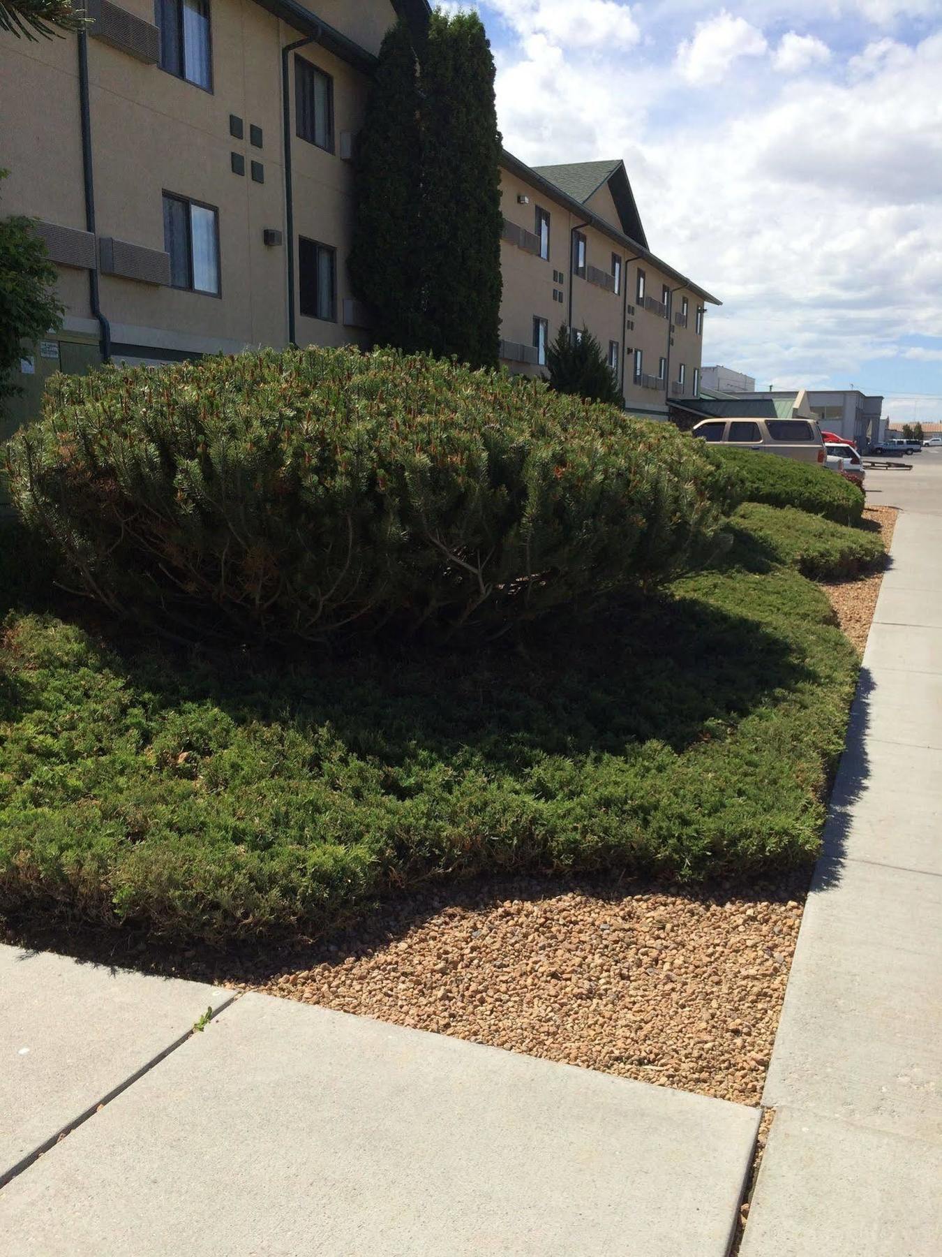 Super 8 By Wyndham Idaho Falls Esterno foto