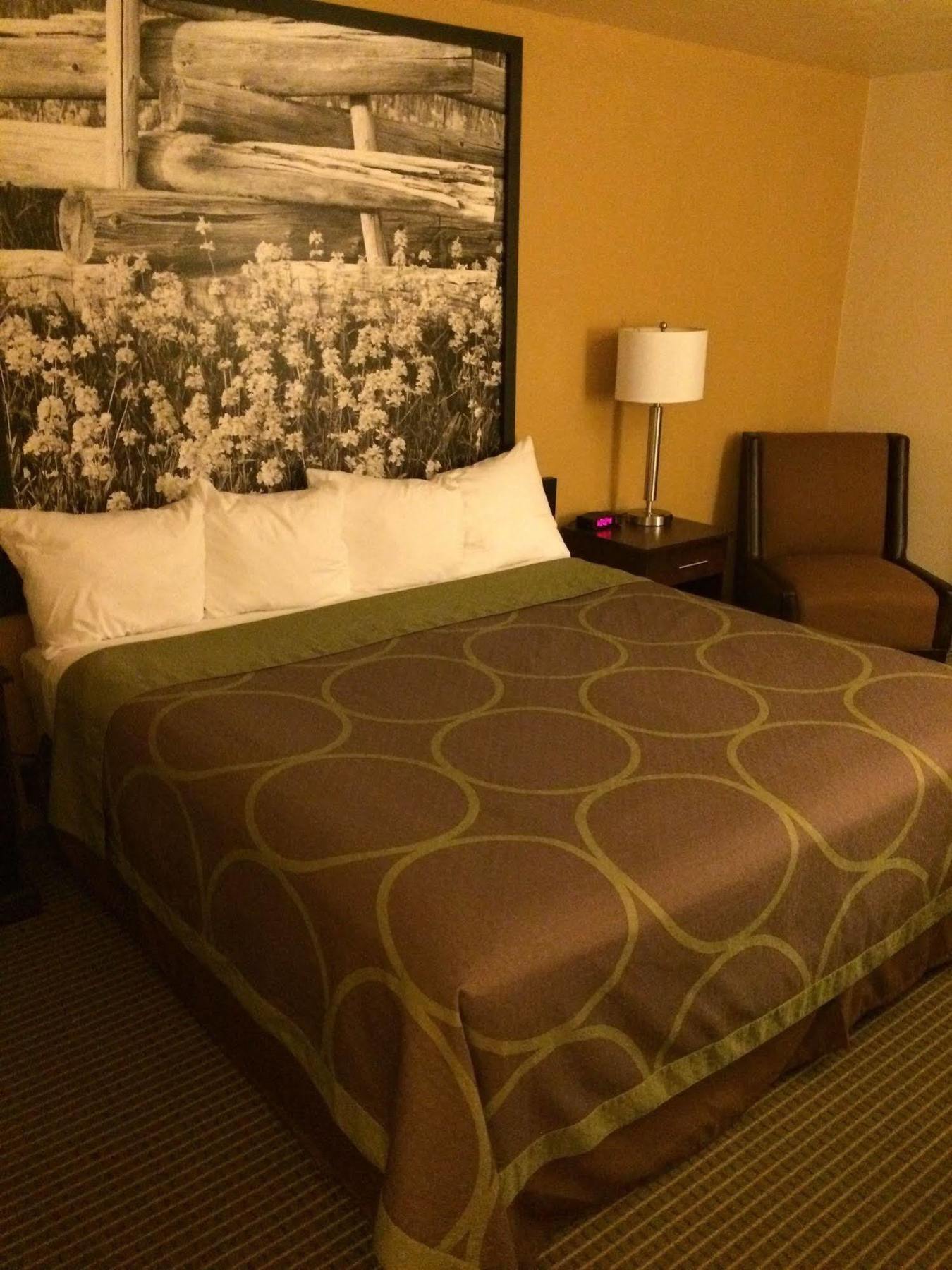 Super 8 By Wyndham Idaho Falls Esterno foto